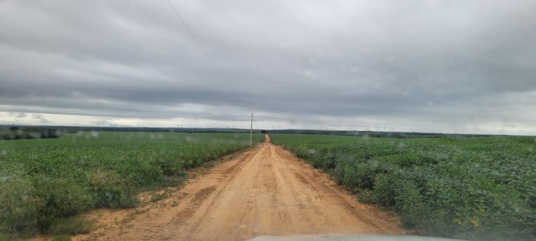 FAZENDA DE 5.400 HA NO MATO GROSSO