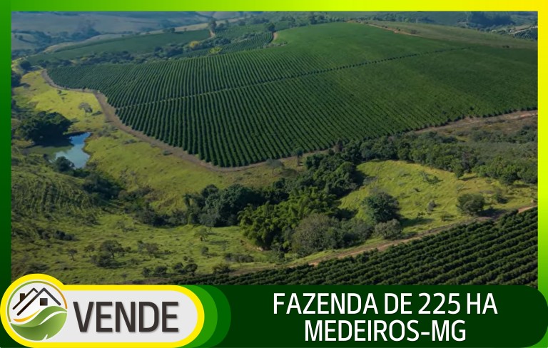 FAZENDA DE 225 HA EM MINAS GERAIS
