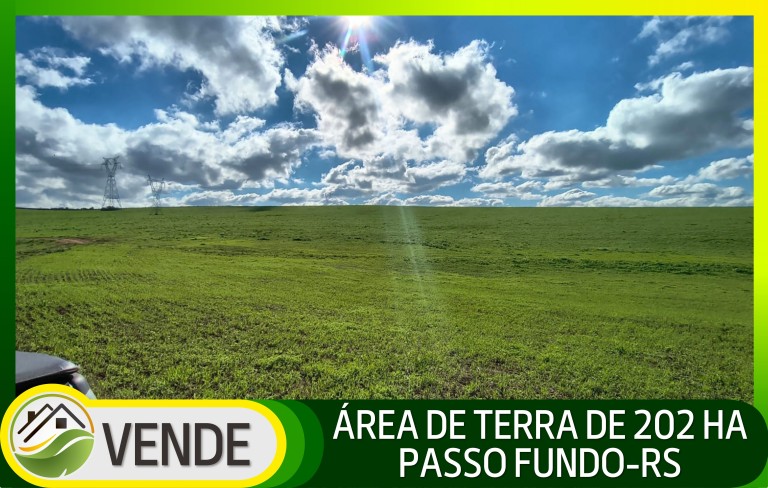 ÁREA DE TERRA DE 202 HA NO RS