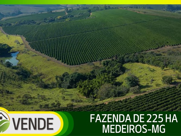 FAZENDA DE 225 HA EM MINAS GERAIS