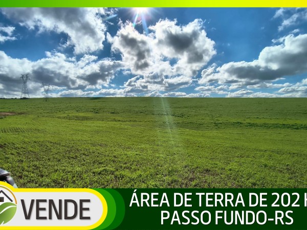 ÁREA DE TERRA DE 202 HA NO RS