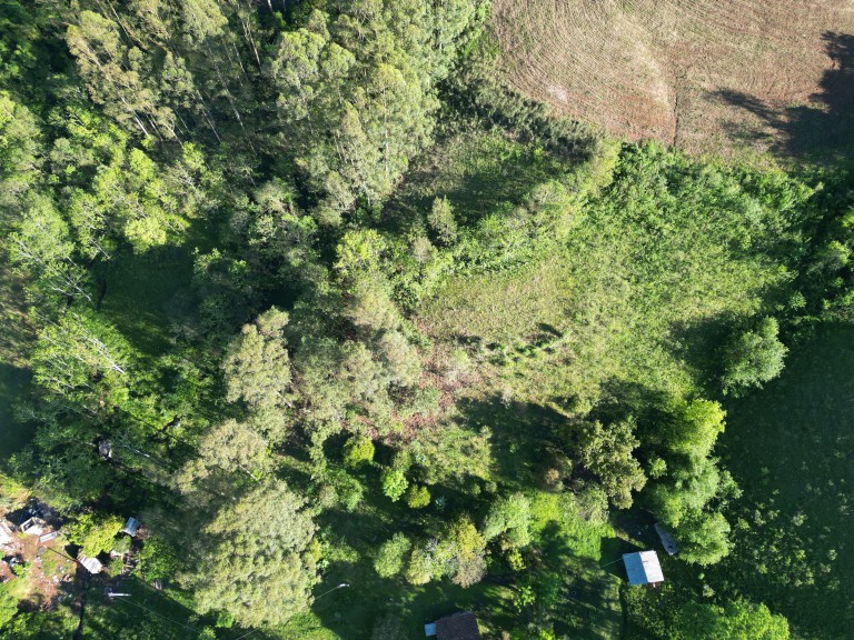 SÍTIO DE 2.5 HA POR R$ 190.000,00