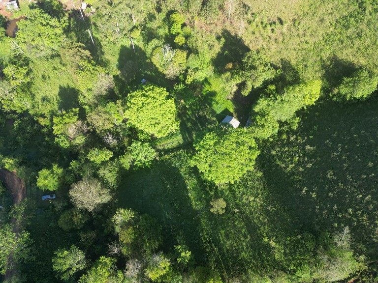 SÍTIO DE 2.5 HA POR R$ 190.000,00