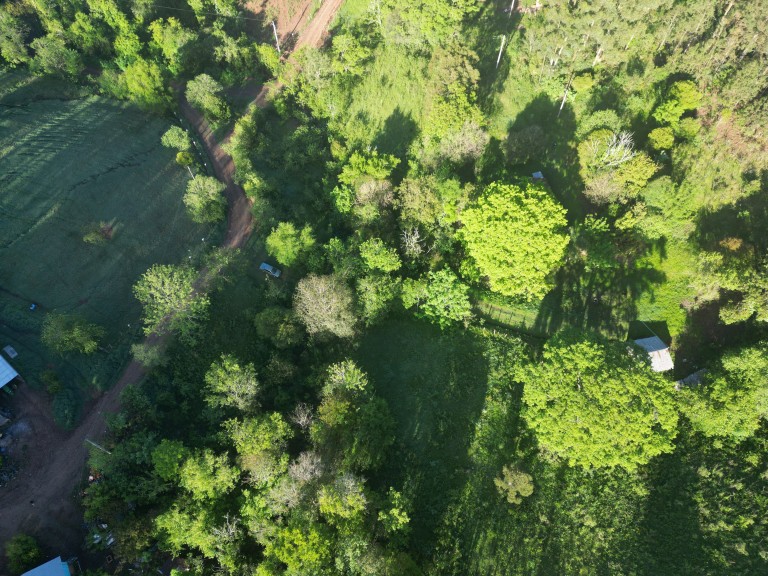 SÍTIO DE 2.5 HA POR R$ 190.000,00