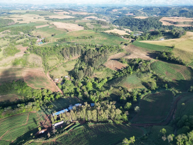 SÍTIO DE 2.5 HA POR R$ 190.000,00