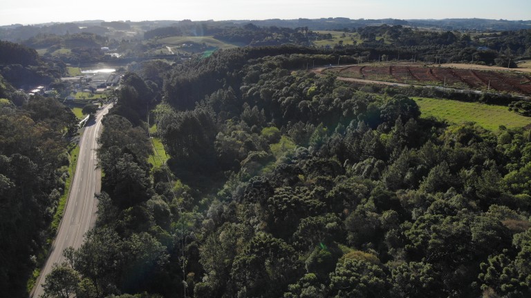 TERRENO DE 20.000 M² DE FRENTE PARA A RSC-470