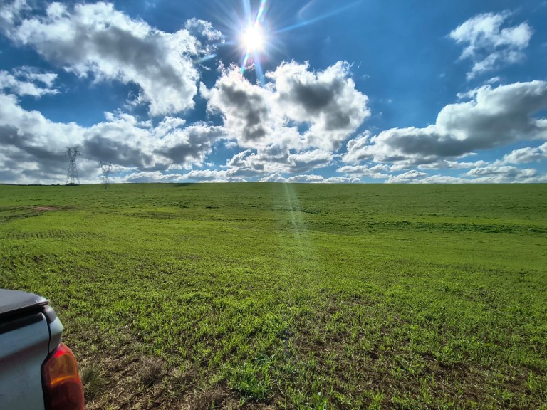 ÁREA DE TERRA DE 202 HA NO RS