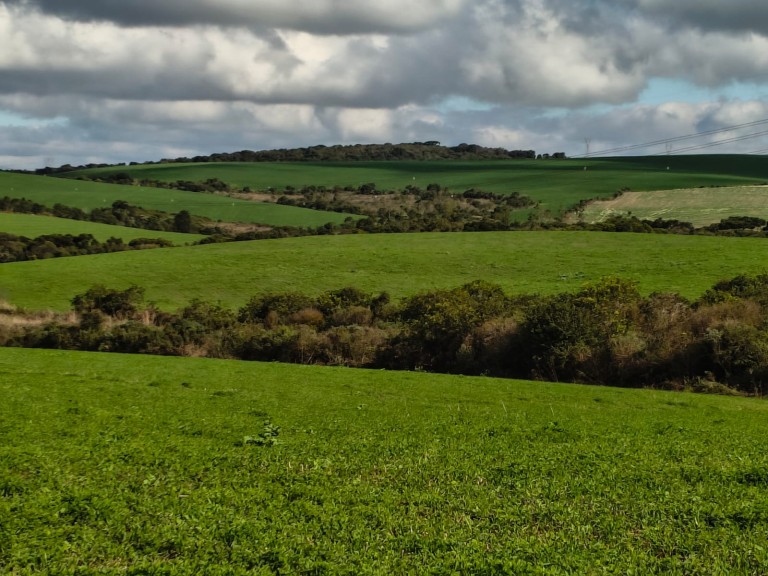 ÁREA DE TERRA DE 202 HA NO RS