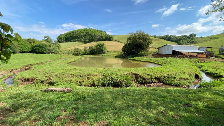 PROPRIEDADE COMPLETA DE 13.2 HA EM SARANDI-RS