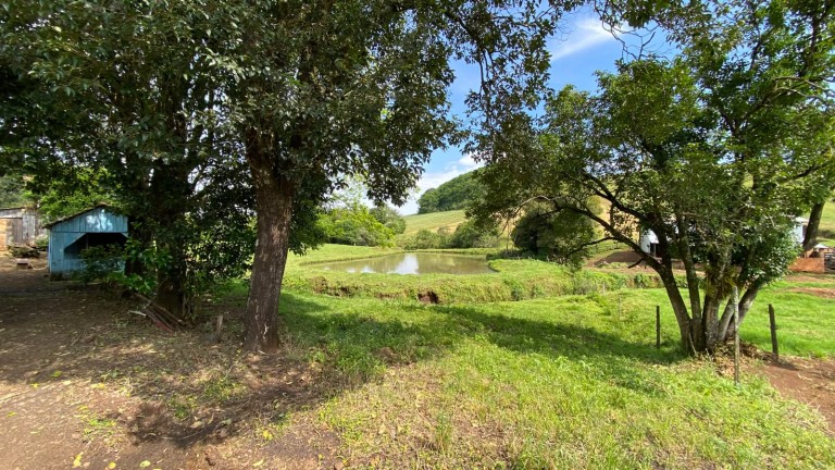 PROPRIEDADE COMPLETA DE 13.2 HA EM SARANDI-RS