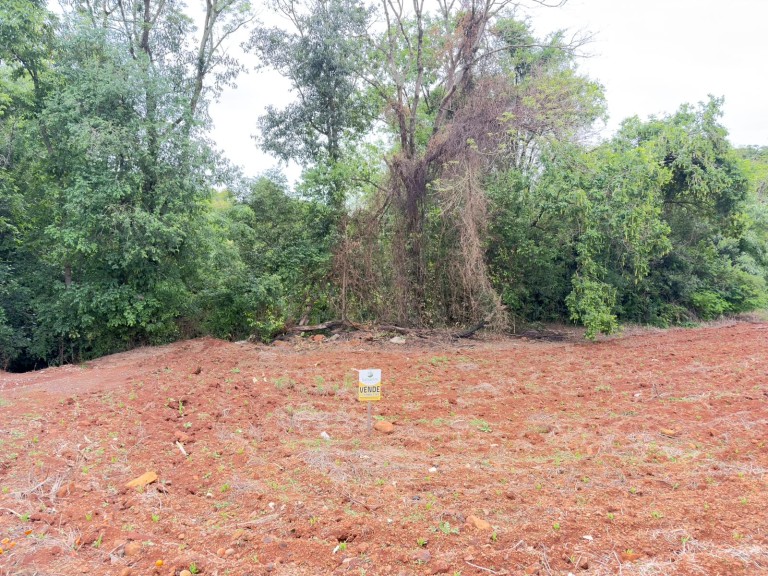 TERRENO DE 300 M² EM CONSTANTINA-RS