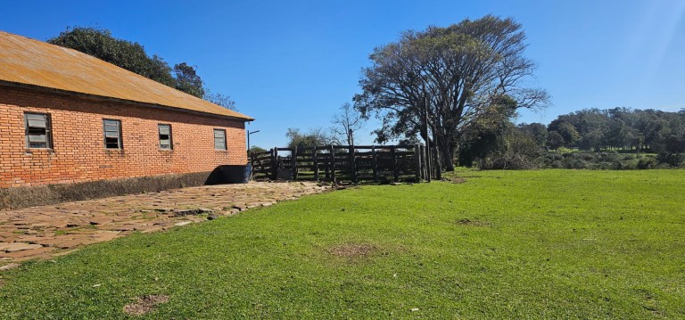 PROPRIEDADE DE 625 HA NO RS