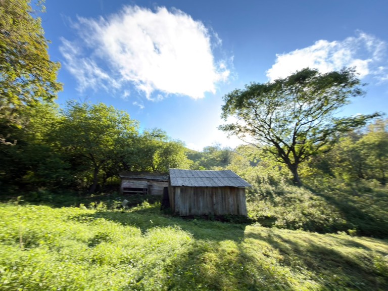 SÍTIO DE 2.5 HA POR R$ 190.000,00