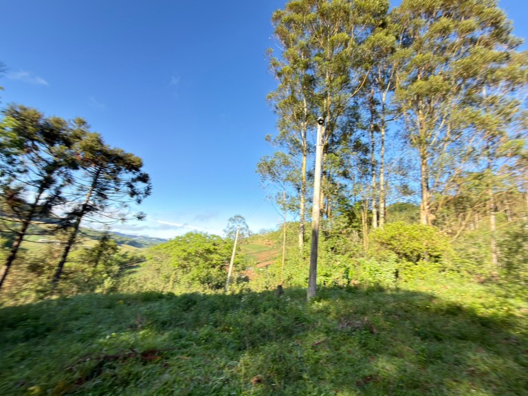 SÍTIO DE 2.5 HA POR R$ 190.000,00