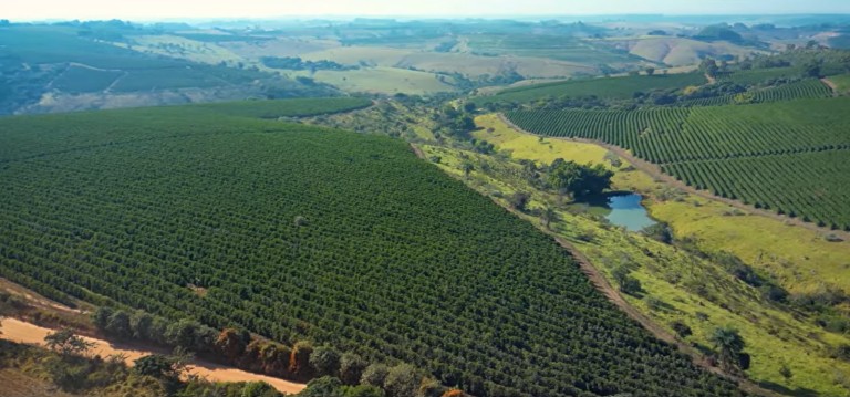 FAZENDA DE 225 HA EM MINAS GERAIS