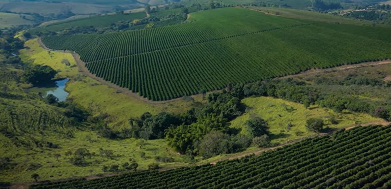 FAZENDA DE 225 HA EM MINAS GERAIS