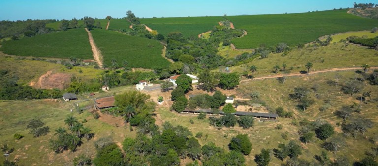 FAZENDA DE 225 HA EM MINAS GERAIS